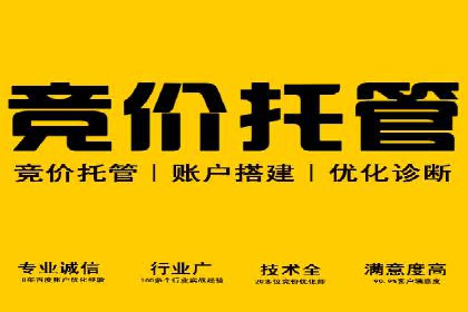 百度SEM竞价推广成功案例：某电商平台的营销奇迹